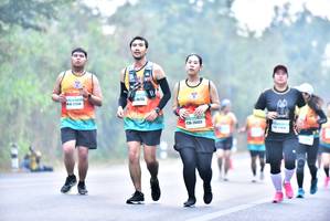BIB: 26433
                            <button type="button" onclick="openModal(10122821)" class="btn btn-primary btn-sm float-right btn-popup" data-toggle="modal" data-target=".modal-high-quality">
                        <i class="fas fa-shopping-cart"></i> Add to Cart
                    </button>
                                            <button type="button" onclick="isThisMe(10122821, true)" class="btn btn-success btn-sm float-right btn-popup btn-isme hidden" data-toggle="tooltip" data-placement="bottom" title="นี่คือรูปของคุณใช่ไหม คลิกที่นี่เพื่อเอาเข้าอัลบั้ม">
                        <i class="fas fa-plus"></i> Add to album
                    </button>
                    <button type="button" onclick="isThisMe(10122821, false)" class="btn btn-warning btn-sm float-right btn-popup btn-isnotme hidden">
                        <i class="fas fa-ban"></i> Remove from album
                    </button>
